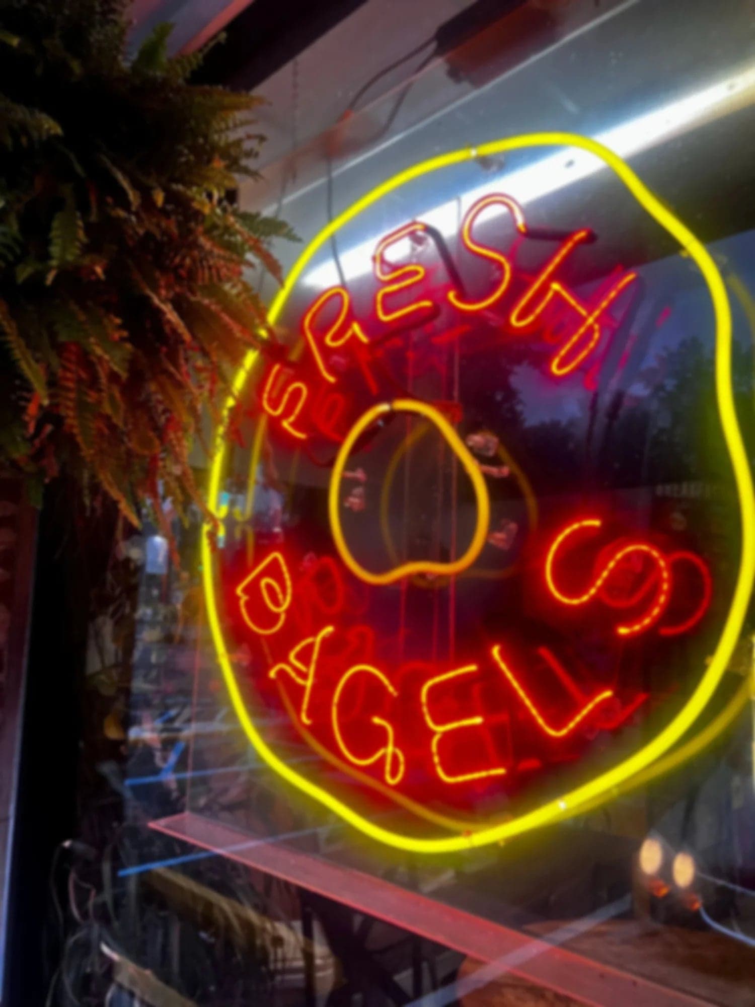 Neon Fresh Bagels sign in the shop window